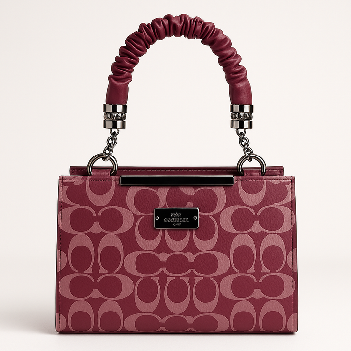 CC Hand Bag1